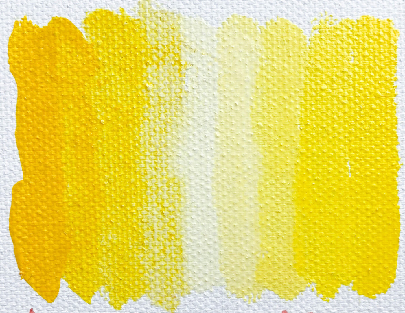 Amarillo Hansa Medio PY97 - Image 2