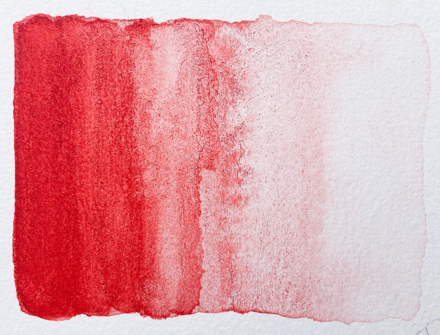 Pyrrole Red PR254 - Image 3